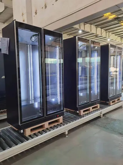 Commercial Bar Vertical Beer Bottle Display Refrigerator