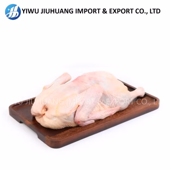 Meat-Dry-Ager Restaurant Meat-Dry-Ager Home Cabinet Dry Ager Meat Aging Agers Refrigerator Meat Ager