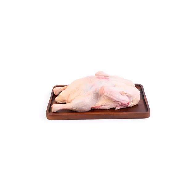 Meat-Dry-Ager Restaurant Meat-Dry-Ager Home Cabinet Dry Ager Meat Aging Agers Refrigerator Meat Ager