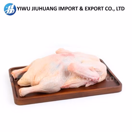 Meat-Dry-Ager Restaurant Meat-Dry-Ager Home Cabinet Dry Ager Meat Aging Agers Refrigerator Meat Ager