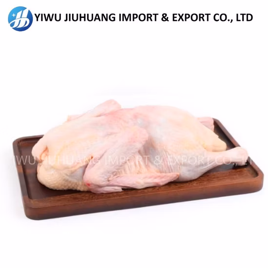 Meat-Dry-Ager Restaurant Meat-Dry-Ager Home Cabinet Dry Ager Meat Aging Agers Refrigerator Meat Ager